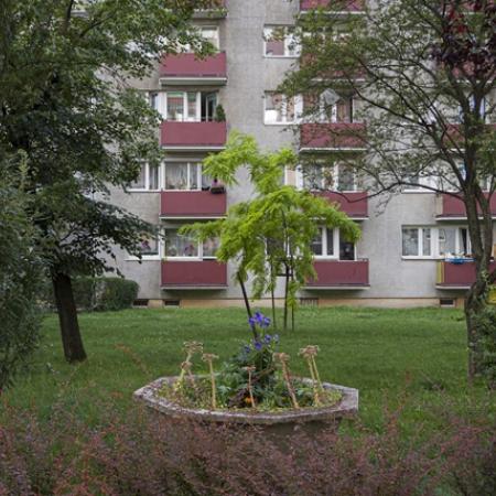 P. Ornatowska, pl. Teatralny w Opolu, 2021