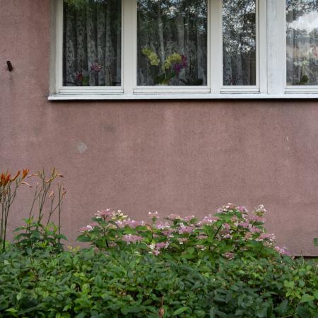 P. Ornatowska, pl. Teatralny w Opolu, 2021