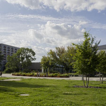 P. Ornatowska, pl. Teatralny w Opolu, 2021