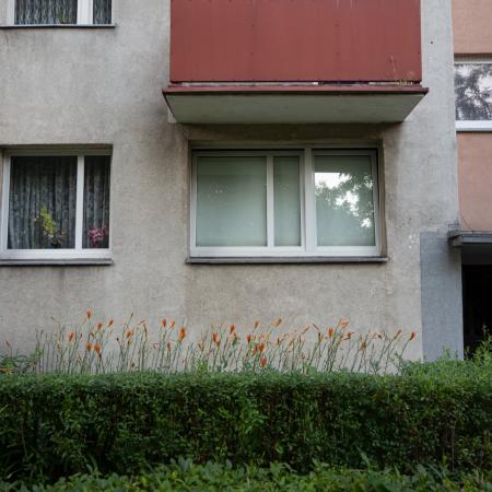 P. Ornatowska, pl. Teatralny w Opolu, 2021