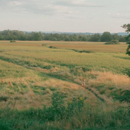 Ślad ślimaka_Alicja Czyczel_01