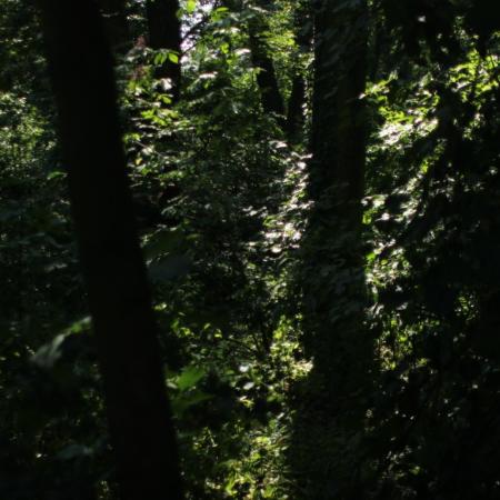 IMG_9417_0 (Średni)