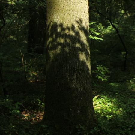 IMG_9814_0 (Średni)