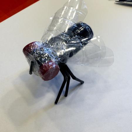 Owad do zrobienia w domu. 