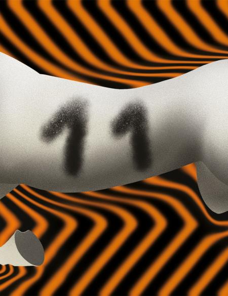 11_listopad_MateuszDomeradzki