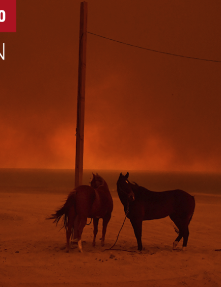 _baner_FACE_wydarzenie_WPPh_19