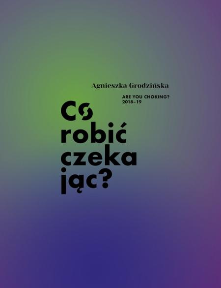 baner do wystawy agnieszki grodzińskiej 