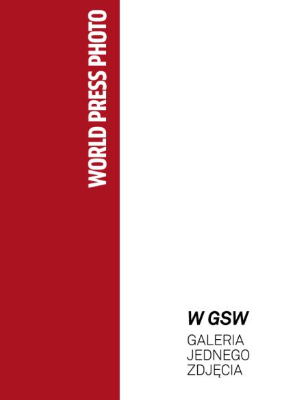 wpph galeria jednego zdjecia