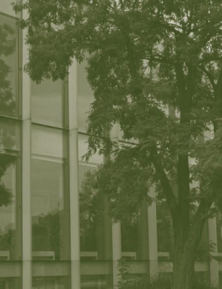 okładka ukazując budynek galerii 