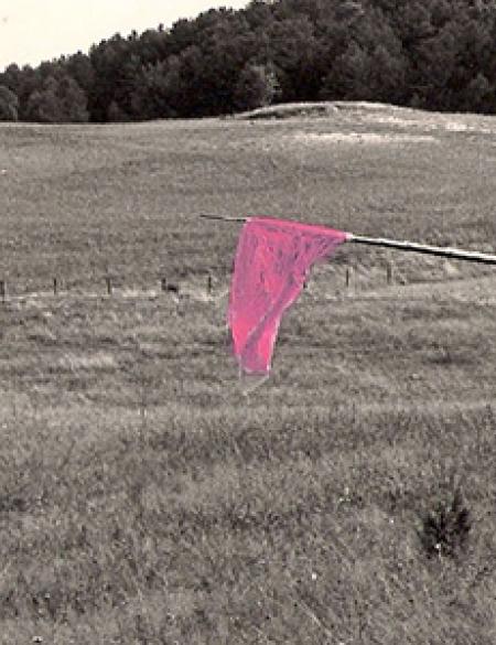 Maria Pinińska-Beres w GSW