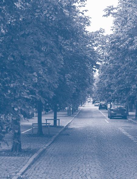 ulica z drzewami i samochodami 