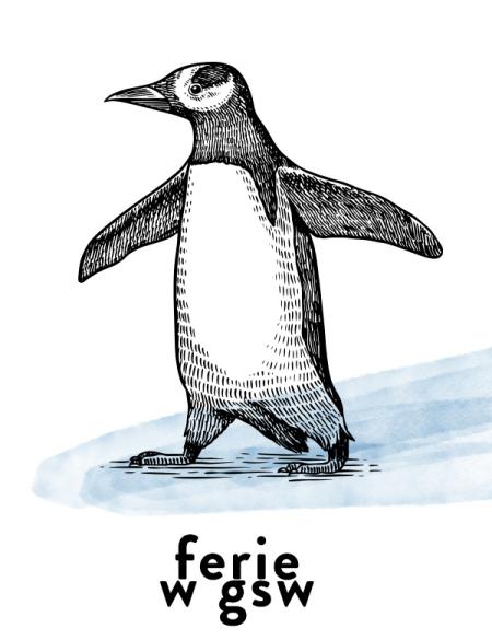 rysunek pingwina, napis: ferie w gsw
