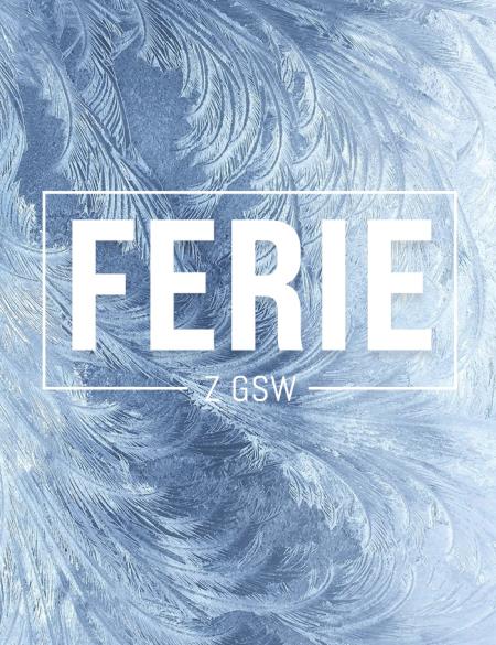 banerek informacyjny z napisem ferie z gsw, w tle sugestia mrozu na szybie