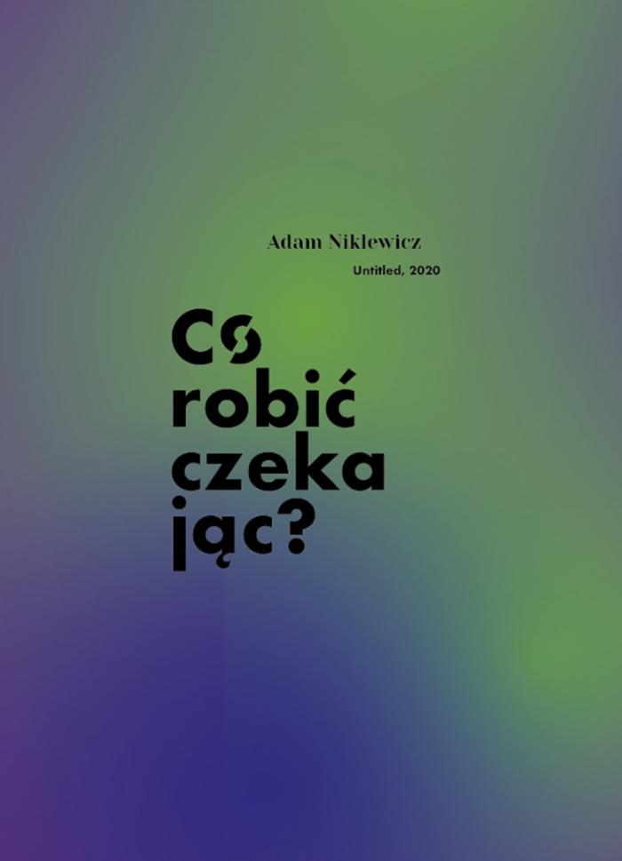 baner do wystawy adama niklewicza