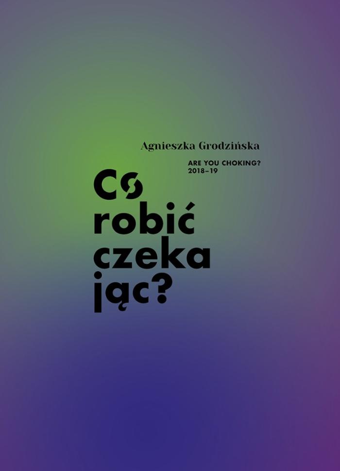 baner do wystawy agnieszki grodzińskiej 