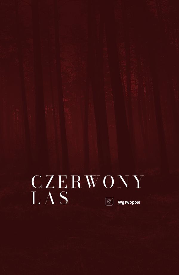 baner informacyjny o projekcie czerwony las - tło bordordowe, lekko wyłaniający się las. 