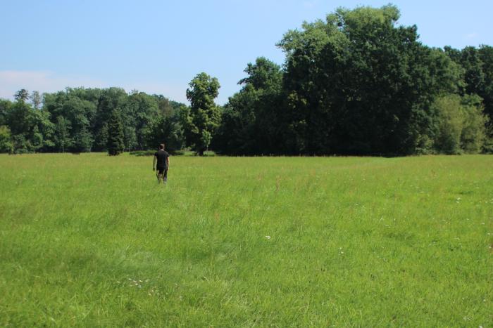 zdjęcie pokazuje postać stojącą na łące 