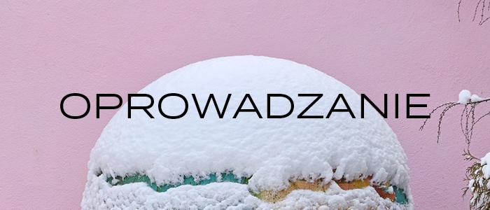 zdjęcie kuli pokrytej śniegiem, napis: oprowadzanie