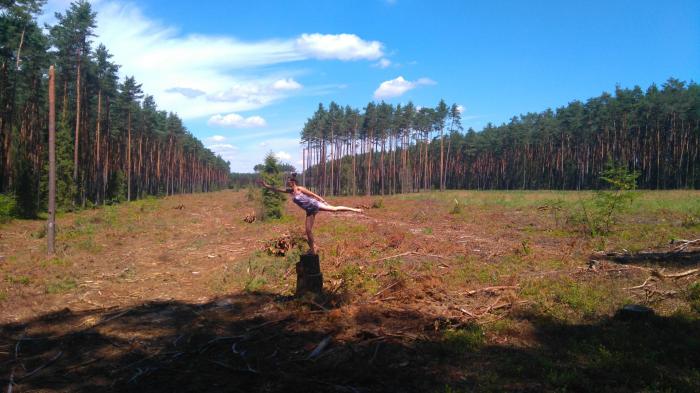 Rezydencje-artystyczne-Logografowie