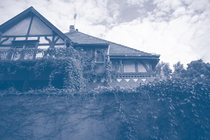 fotografia ukazuje dom obrośnięty zielenią 