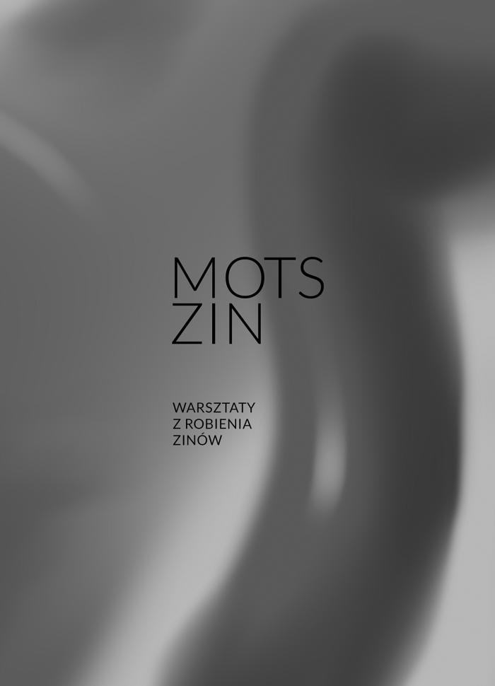 szare tło, napis: Bory, zin