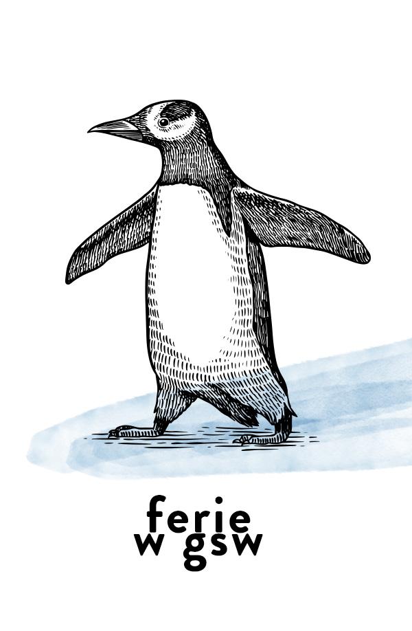 rysunek pingwina, napis: ferie w gsw