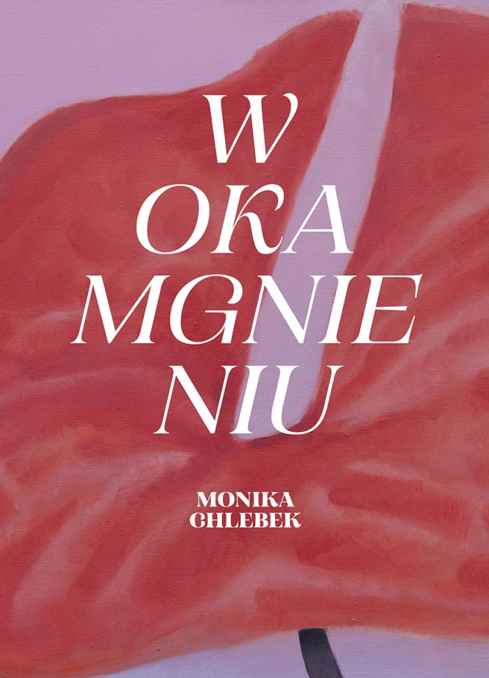 banerek informacyjny, w tle sugestia czerwonego materiału, napis: w okamgnieniu, monika chclebek